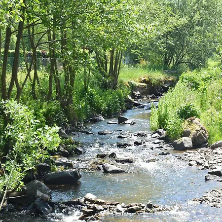Charming Mill In Gedinne, Cleaning Included Casa vacanze *
